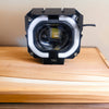 New Dual Tone Projector Light With DRL